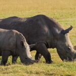 how to make more money