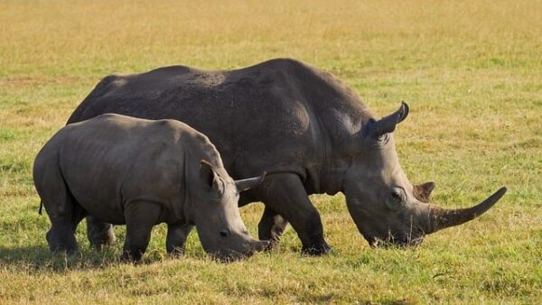 how to make more money